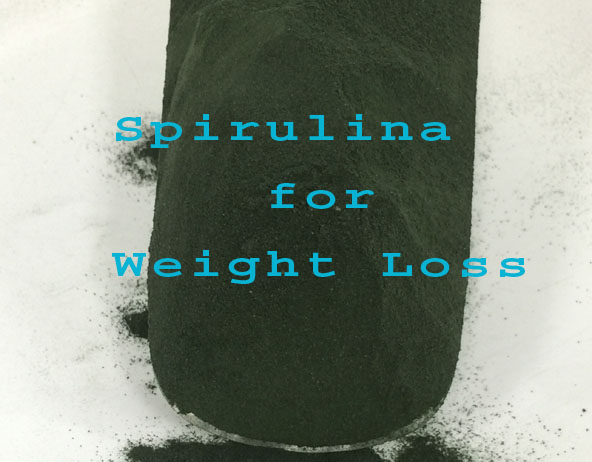 Can Spirulina help you with weight loss?